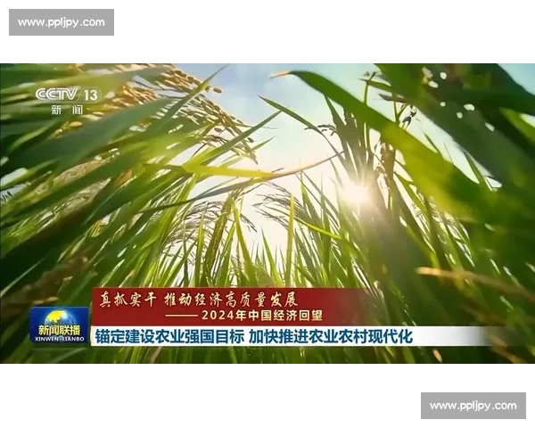 以稳定发展为核心推进经济社会高质量协调前行新格局建设持续